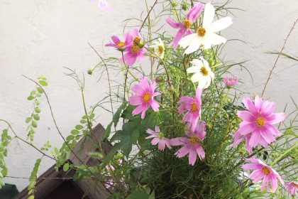 外のテーブルの上に花で満たされたガラスの花瓶。